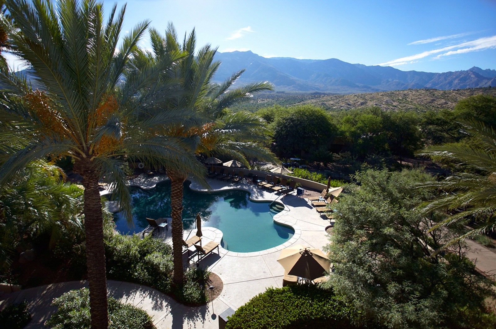 Miraval Resort & Spa (Adults Only) Catalina Съоръжения снимка